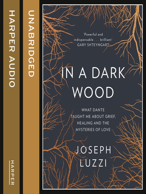 Cover image for In a Dark Wood